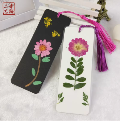 113be155-29d3-4bb5-8387-ff12329dfd9c