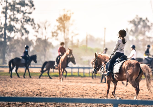 1265503f-d5c2-468a-ad6e-1b4bb9cccb24