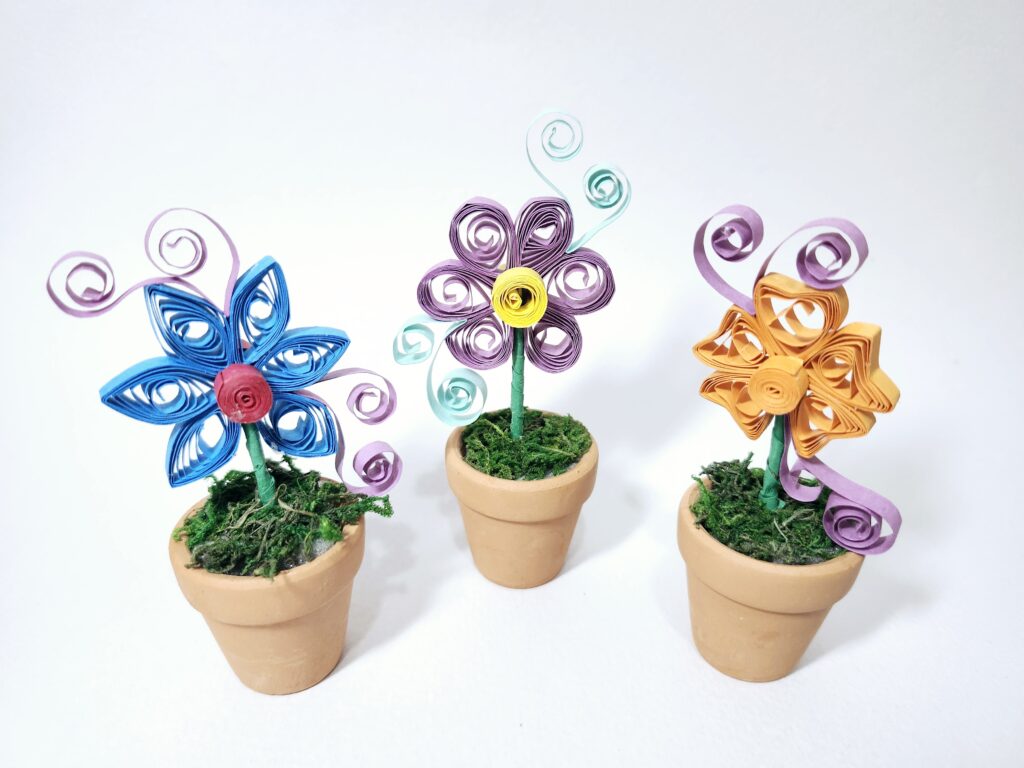 20241207_100035 - ivy22 Kwong