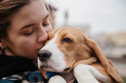 26d5d023-8e54-4fd2-8e74-a8f993aad508