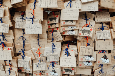 2b5b45c6-0c34-449e-a756-e1ab212e0260