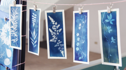 48a50da5-a34b-4afc-b898-ecc999aa808e