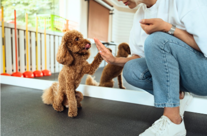 5ac173e3-4de1-4149-a2f6-38d5fe5470f2