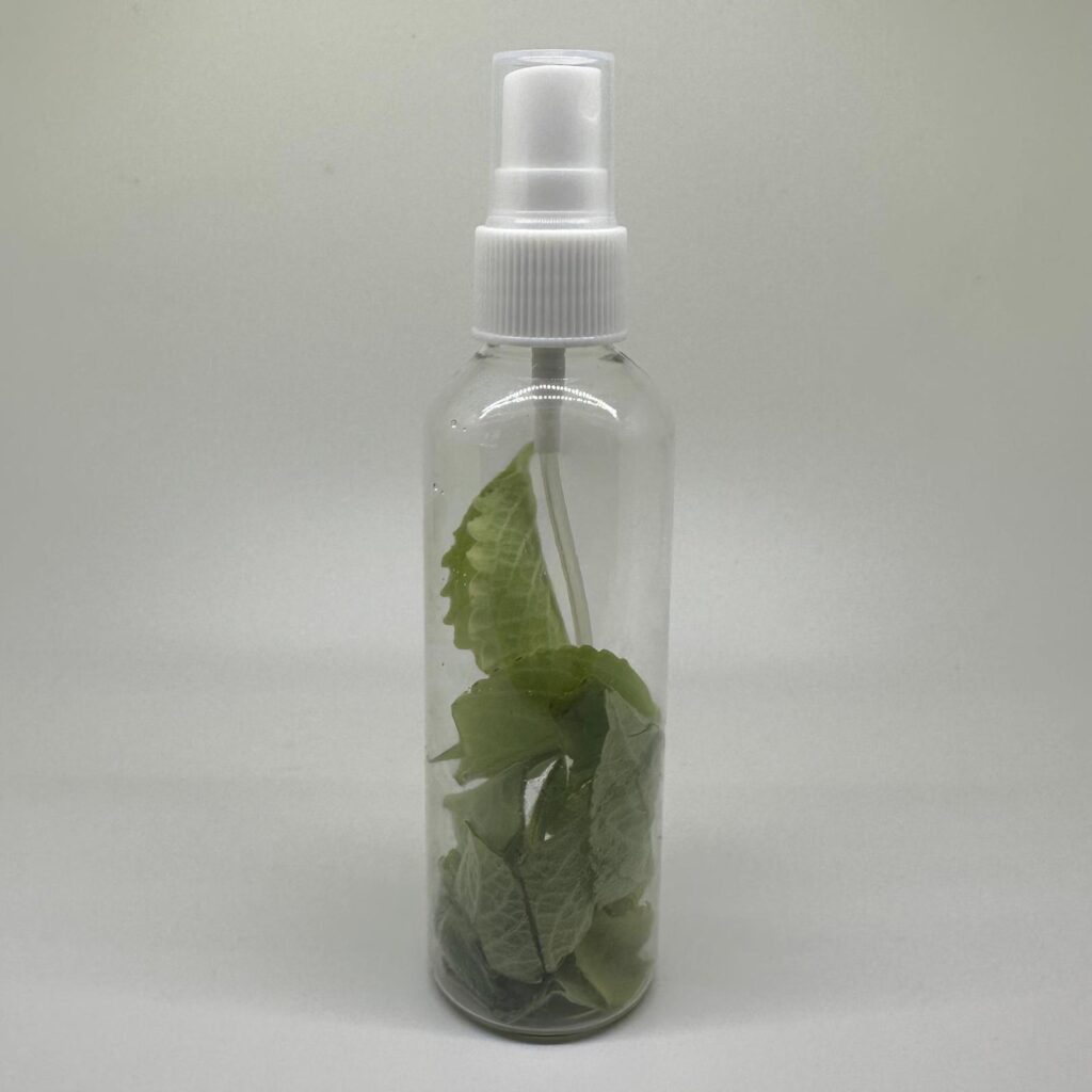 WhatsApp Image 2025-08-04 at 3.27.53 PM