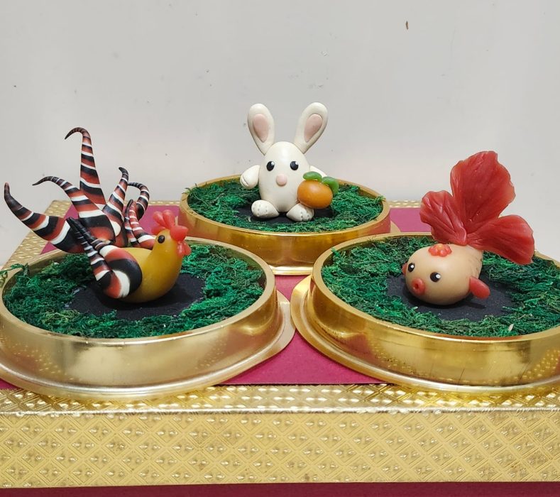 WhatsApp Image 2024-12-18 at 4.43.08 PM (2)